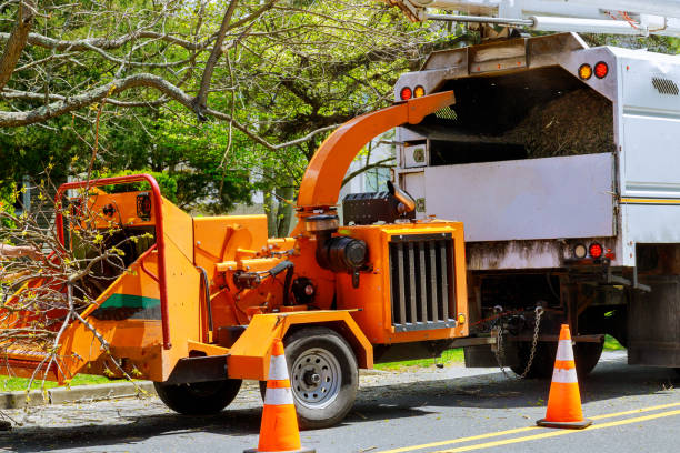 Best Grass Overseeding  in White Plains, NC