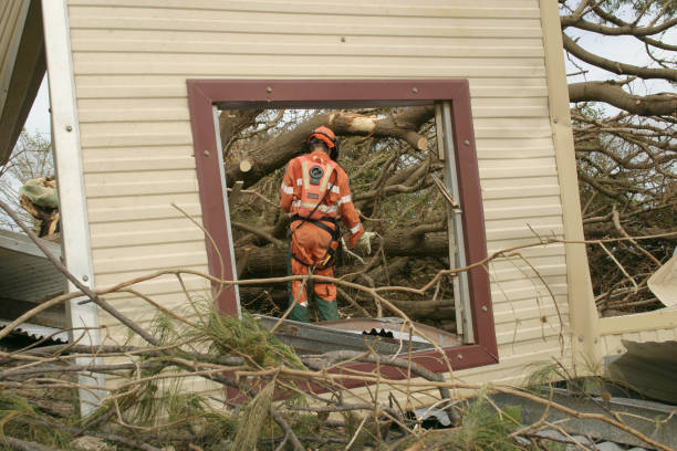  White Plains, NC Tree Care Services Pros